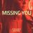 Cover art for Missing You - John Waite karaoke version