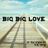 Cover art for Big Big Love - k.d. lang karaoke version