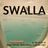 Cover art for Swalla - Ty Dolla $Ign, Nicki Minaj, Jason Derulo karaoke version