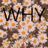 Cover art for Why - Shawn Mendes karaoke version