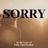 Cover art for Sorry - Alan Walker, Isák karaoke version