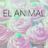 Cover art for El Animal - Roberto Tapia karaoke version