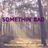 Cover art for Somethin' Bad - Carrie Underwood, Miranda Lambert karaoke version