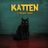 Cover art for Katten i trakten - Einár karaoke version