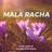 Cover art for Mala Racha - Conjuto Primavera karaoke version