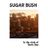 Cover art for Sugar Bush - Doris Day karaoke version