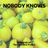 Cover art for Nobody Knows - The Tony Rich Project karaoke version