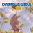 Cover art for Damdiggida - Keiino karaoke version