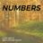 Cover art for Numbers - Jason Michael Carroll karaoke version