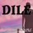 Karaokekappaleen Dile - Don Omar kansikuva