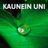 Cover art for Kaunein uni - Anki Lindqvist karaoke version