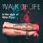 Cover art for Walk Of Life - Billie Piper karaoke version