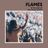 Cover art for Flames - David Guetta, Sia karaoke version