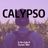 Cover art for CALYPSO - Bryson Tiller karaoke version