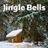 Cover art for Jingle Bells - Murray Ross karaoke version