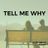 Cover art for Tell Me Why - Exposé karaoke version