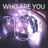 Cover art for Who Are You - The Who karaoke version