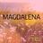 Cover art for Magdalena - The Dox karaoke version