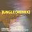 Cover art for Jungle (Remix) - X Ambassadors, Jamie N Commons, Jay-Z karaoke version