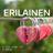 Cover art for Erilainen - El Migu karaoke version