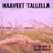 Cover art for Haaveet tallella - Annika Eklund karaoke version