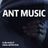 Cover art for Ant Music - Adam and the Ants karaoke version