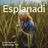 Cover art for Esplanadi - Hootenanny Trio karaoke version
