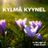 Cover art for Kylmä kyynel - Erkki Kivelä karaoke version