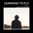 Cover art for Learning To Fly - Tom Petty and the Heartbreakers karaoke version