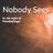 Cover art for Nobody Sees - Powderfinger karaoke version