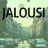 Cover art for Jalousi - Medina (DEN) karaoke version