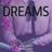 Cover art for Dreams - Jackie Evancho karaoke version
