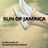 Cover art for Sun Of Jamaica - Goombay Dance Band karaoke version