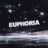 Cover art for Euphoria - Loreen karaoke version