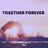 Cover art for Together Forever - Shai karaoke version