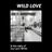 Cover art for Wild Love - Joy Lynn White karaoke version