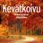 Cover art for Kevätkoivu - Ulla Köhler karaoke version