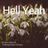 Cover art for Hell Yeah - Montgomery Gentry karaoke version