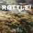 Cover art for Rattle! - Elevation Worship karaoke version
