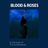 Cover art for Blood & Roses - The Smithereens karaoke version