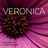 Cover art for Veronica - Cornelis Vreeswijk karaoke version