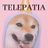 Cover art for Telepatia - Kali Uchis karaoke version