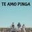 Cover art for Te Amo Pinga - Antony & Gabriel karaoke version