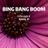 Cover art for Bing Bang Boom - Highway 101 karaoke version