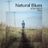 Cover art for Natural Blues - Moby karaoke version