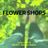 Karaokekappaleen Flower Shops - Morgan Wallen, ERNEST kansikuva