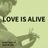 Cover art for Love Is Alive - Gary Wright karaoke version