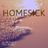 Cover art for Homesick - Stan Walker karaoke version