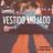 Cover art for Vestido Mojado - La Tropa Chicana karaoke version