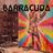 Cover art for Barracuda - Fergie karaoke version